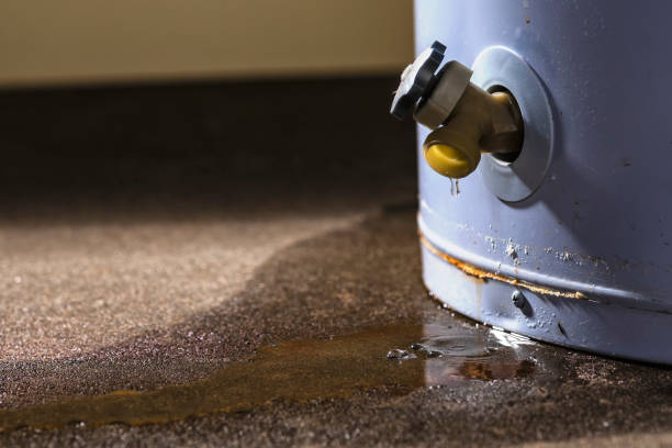Best Water damage contractors near me  in Luckey, OH
