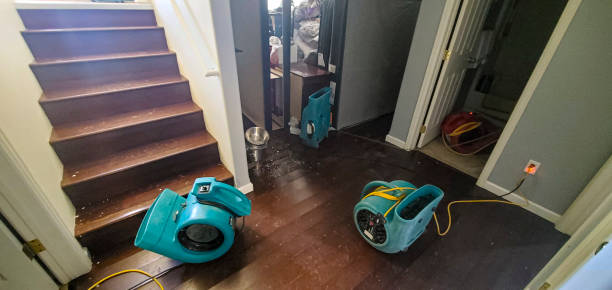 Best Water damage restoration near me  in Luckey, OH