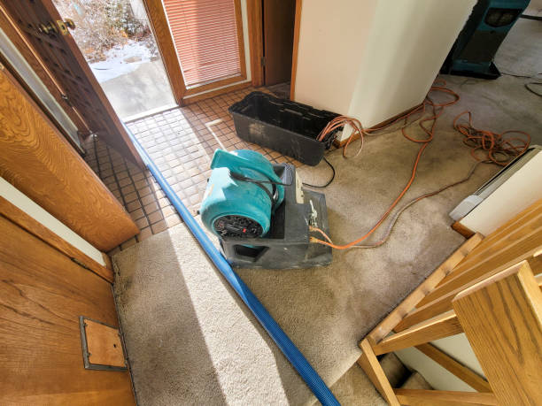 24/7 water damage repair in Luckey, OH