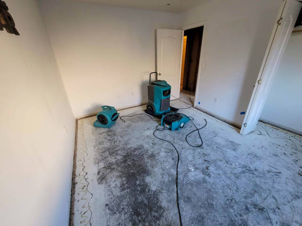 Best Water damage restoration insurance claims  in Luckey, OH