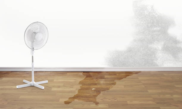 Best Residential water damage restoration  in Luckey, OH