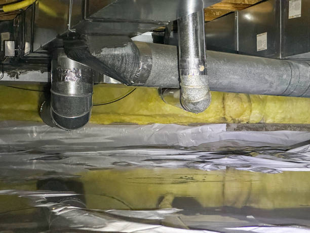 Best Water damage repair service  in Luckey, OH