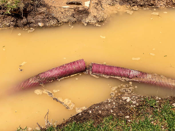 Reliable Luckey, OH Water damage restoration Solutions