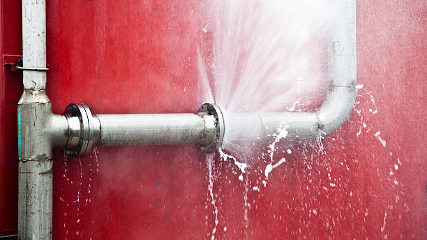 Best Carpet water damage restoration  in Luckey, OH